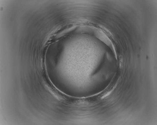 X0000076100589200610061709