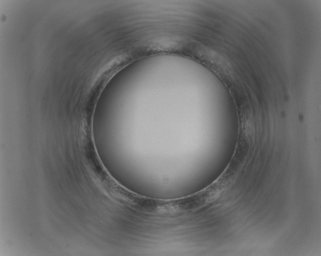 X0000076100591200610061709