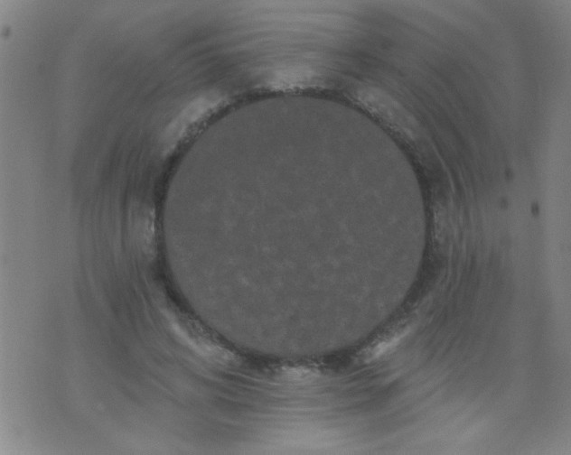 X0000076100592200610061708