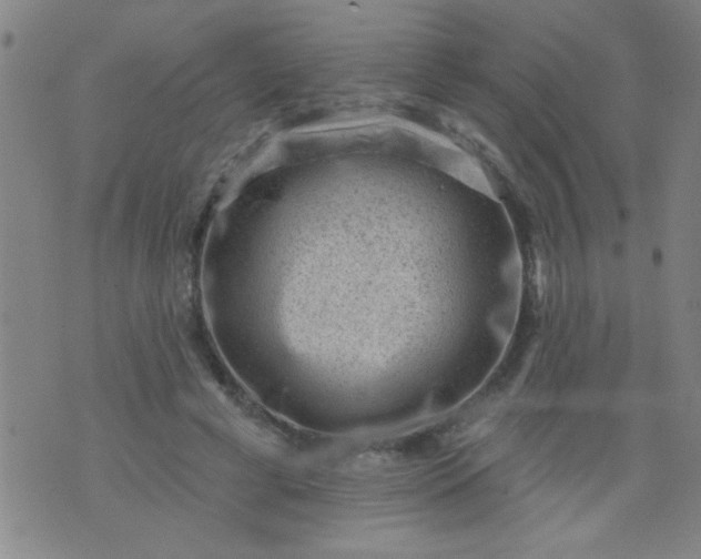 X0000076100593200610061708