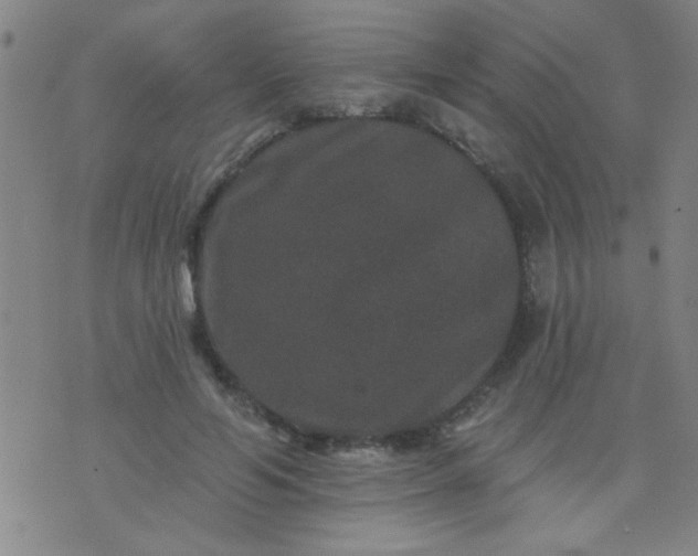 X0000076100594200610061708