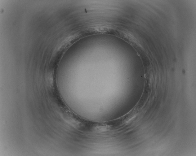 X0000076100595200610061708