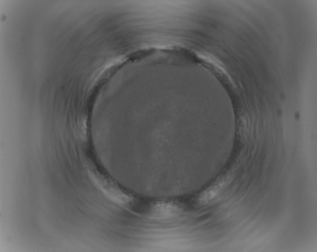 X0000076100596200610061708