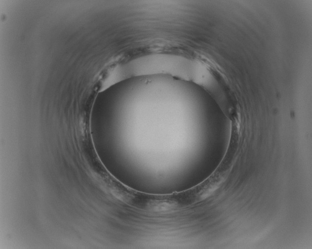 X0000076100597200610061708