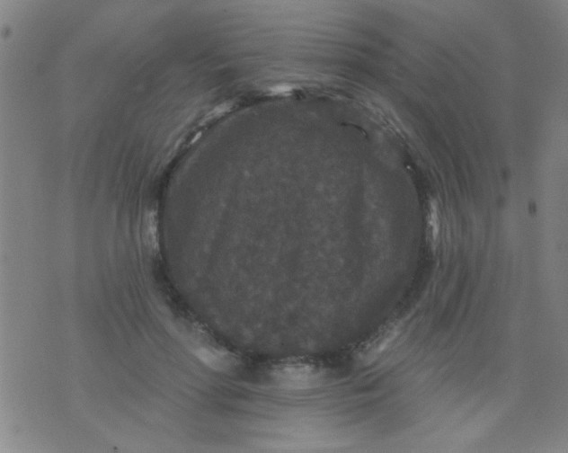 X0000076100598200610061708