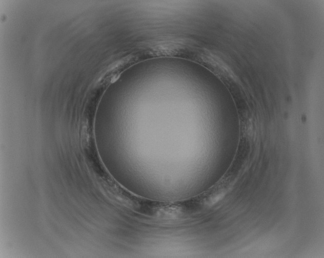 X0000076100599200610061708