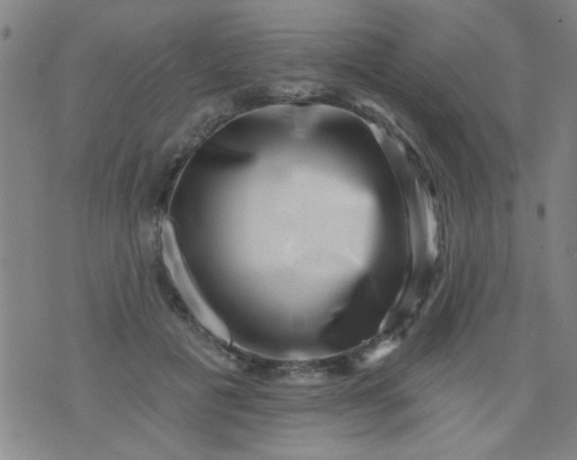 X0000076100601200610061708