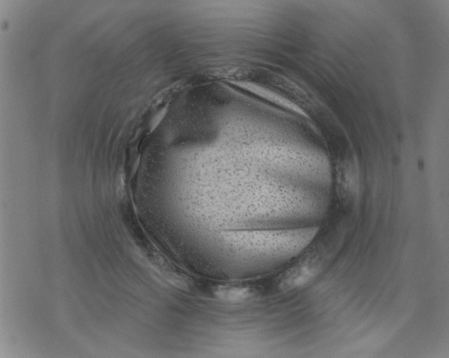 X0000076100602200610061708