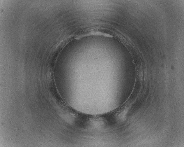 X0000076100603200610061708