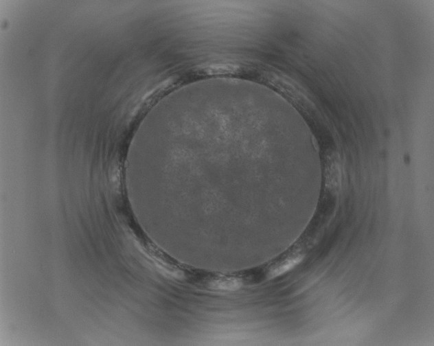 X0000076100604200610061708