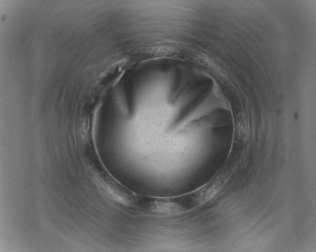 X0000076100605200610061708