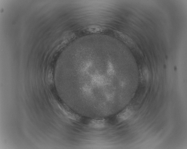 X0000076100606200610061708