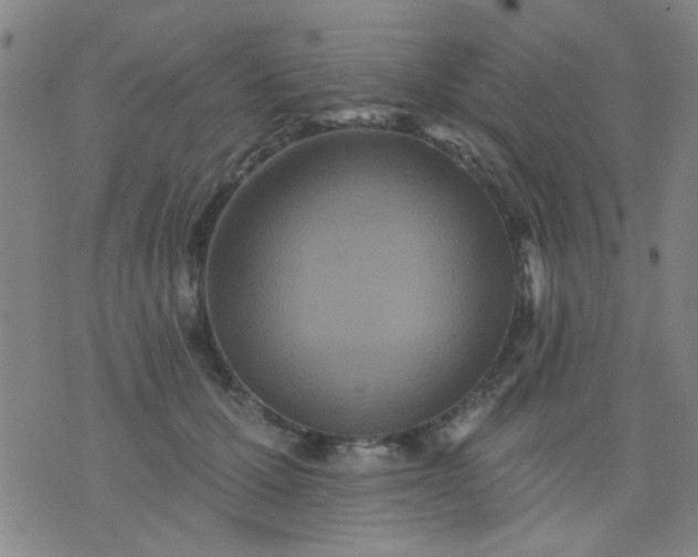 X0000076100607200610061708