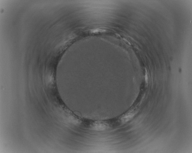 X0000076100608200610061708