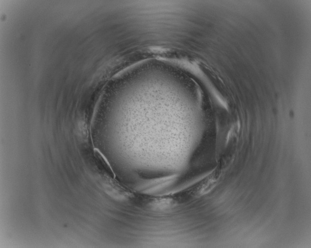 X0000076100609200610061708