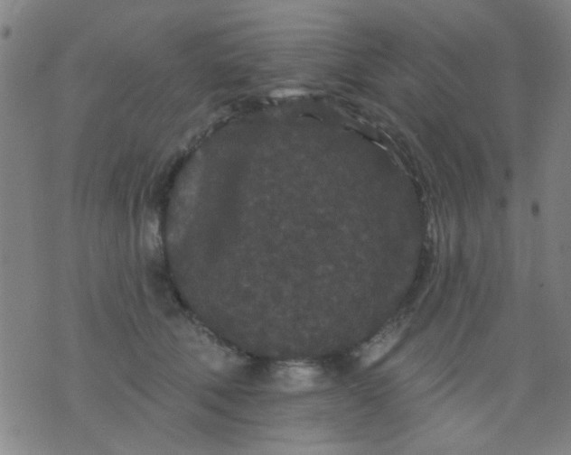 X0000076100610200610061708