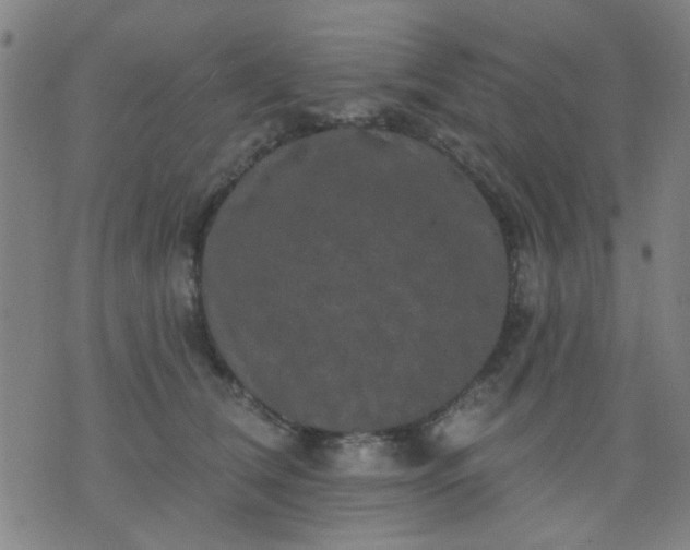 X0000076100612200610061708