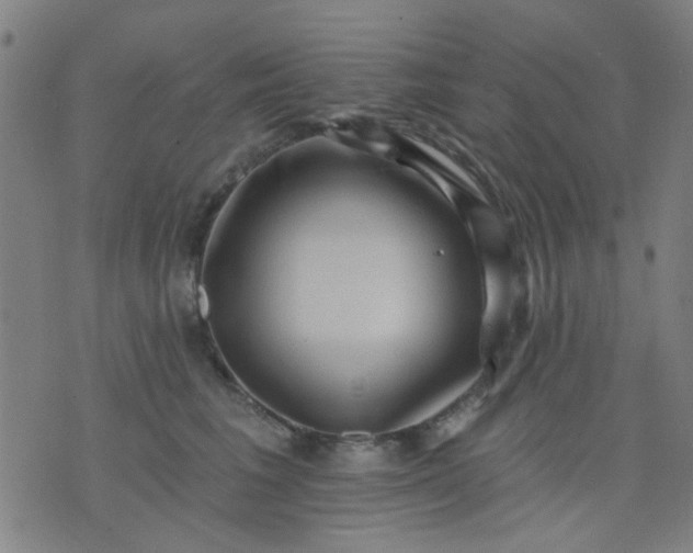 X0000076100613200610061708