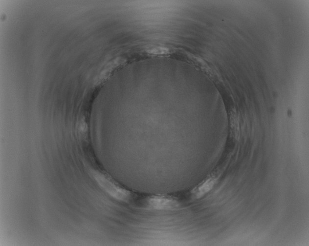 X0000076100614200610061708