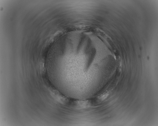 X0000076100615200610061708