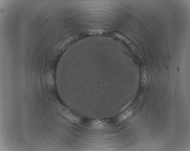 X0000076100616200610061708