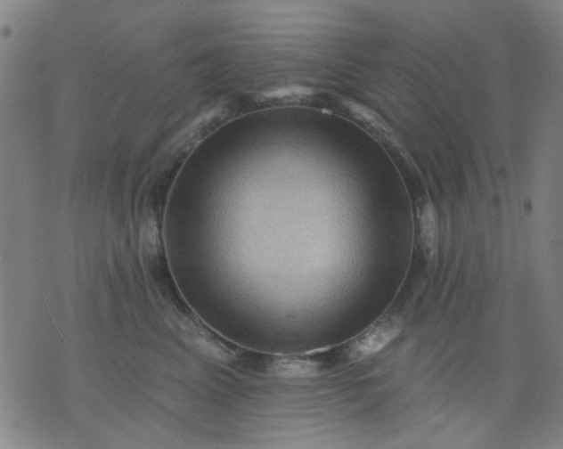 X0000076100617200610061708