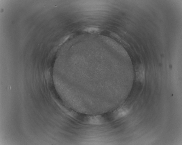 X0000076100618200610061708