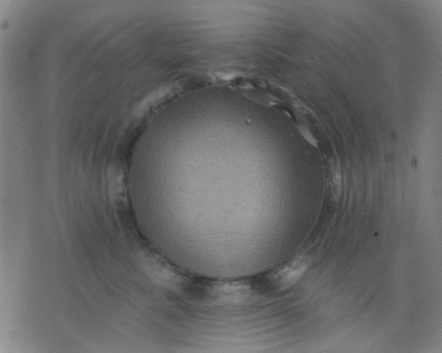 X0000076100619200610061708