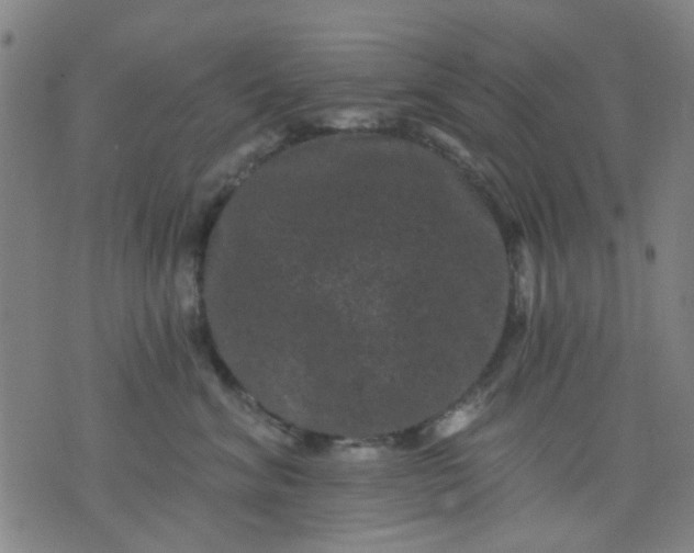 X0000076100620200610061708