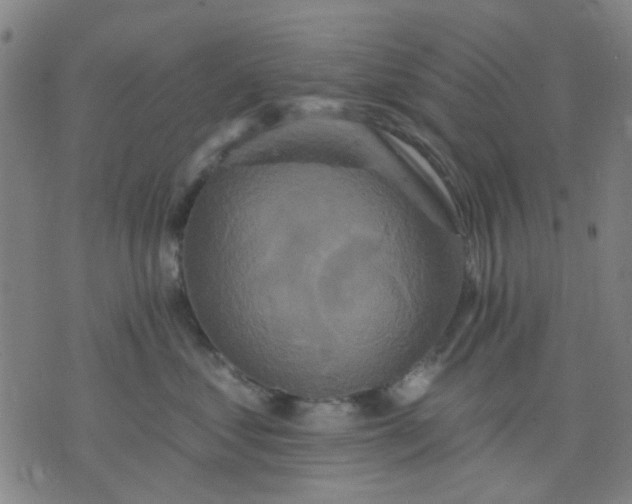 X0000076100621200610061708