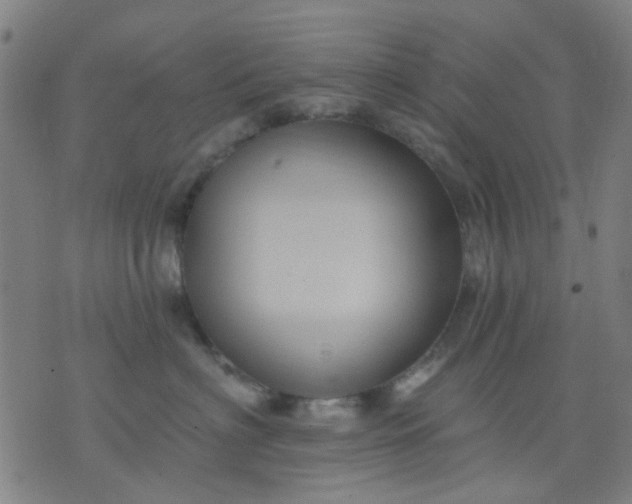 X0000076100622200610061708