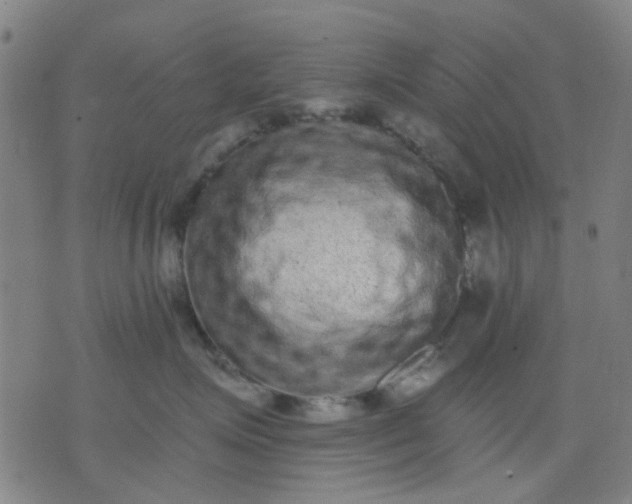 X0000076100623200610061708