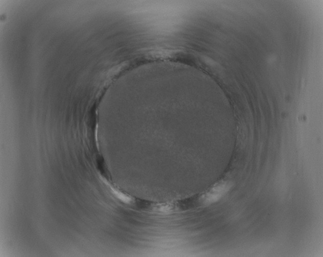 X0000076100624200610061708