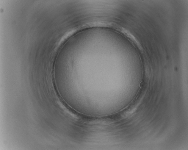 X0000076100625200610061707