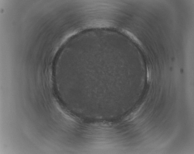 X0000076100627200610061707