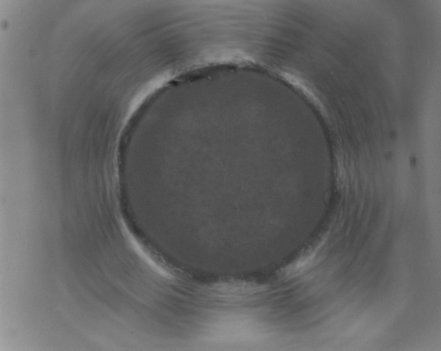 X0000076100630200610061707