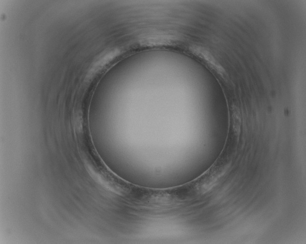 X0000076100631200610061707