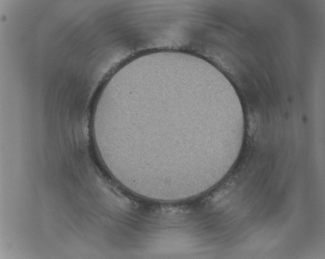 X0000076100632200610061707