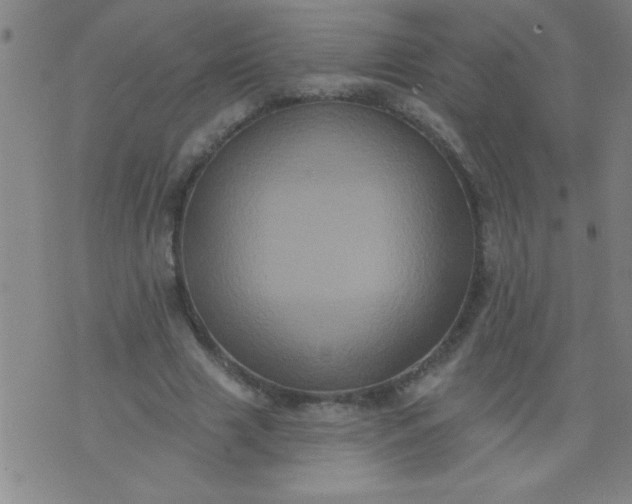 X0000076100633200610061707