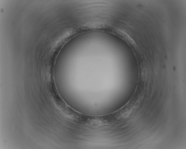 X0000076100635200610061707