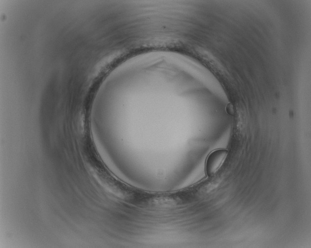 X0000076100636200610061707