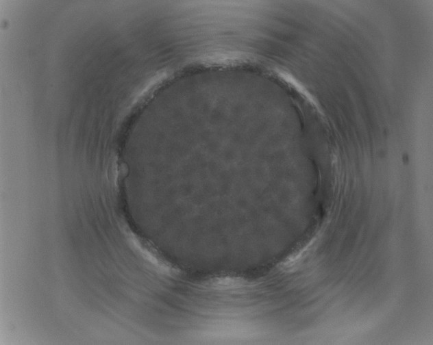 X0000076100637200610061707