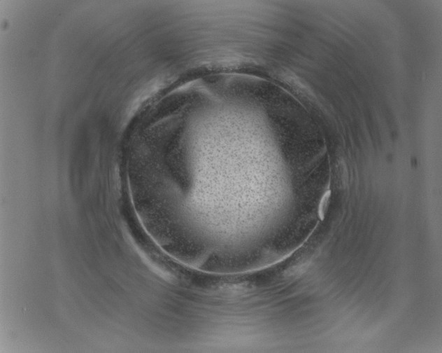 X0000076100638200610061707