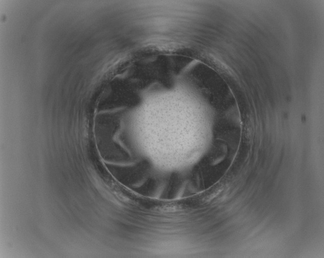 X0000076100639200610061707