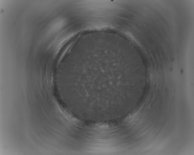 X0000076100640200610061707