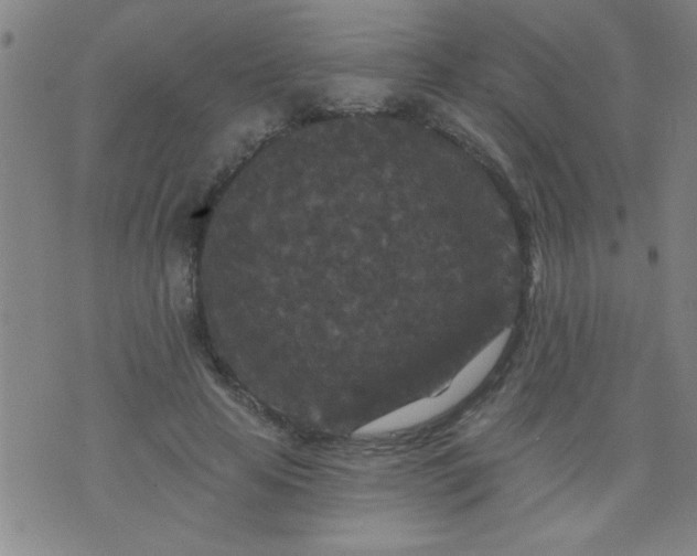 X0000076100641200610061707