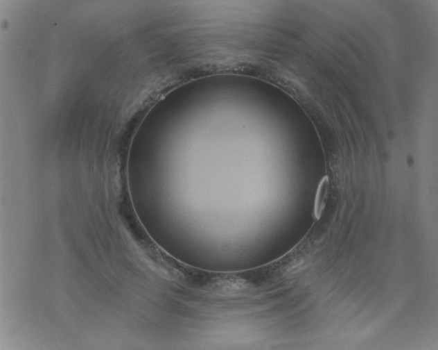 X0000076100642200610061707