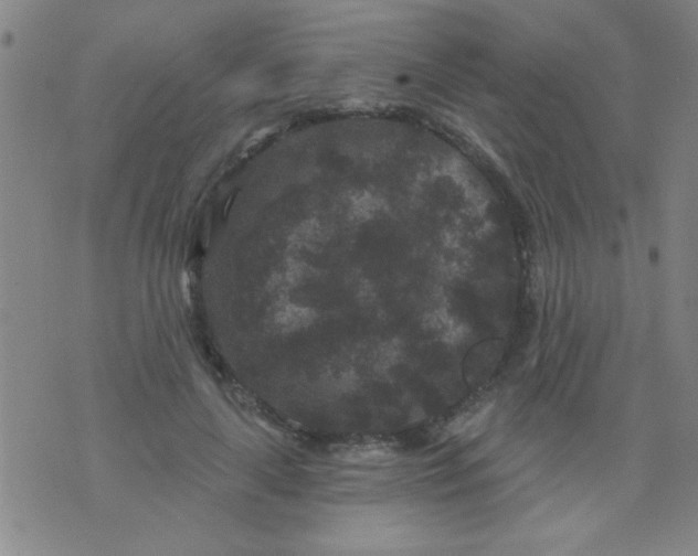 X0000076100643200610061707