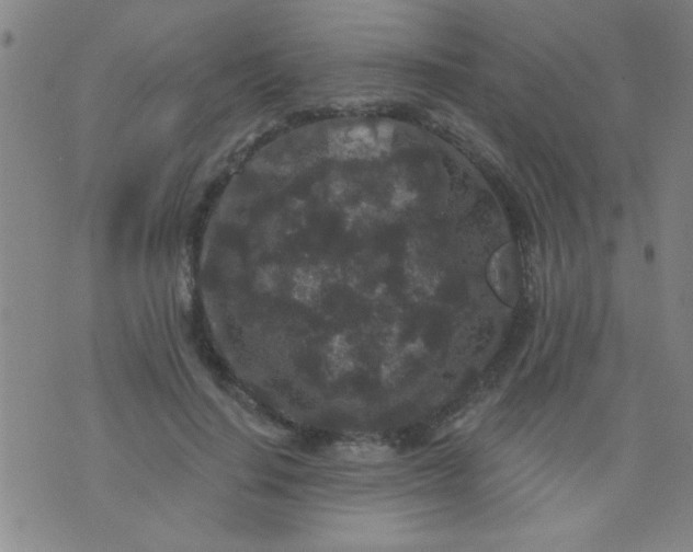 X0000076100644200610061708