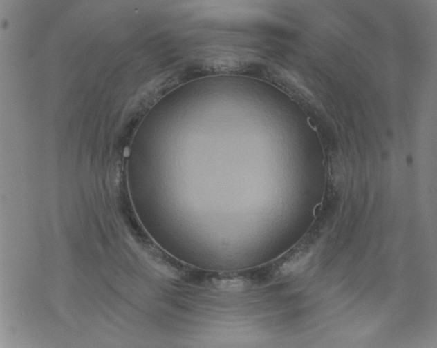 X0000076100645200610061708